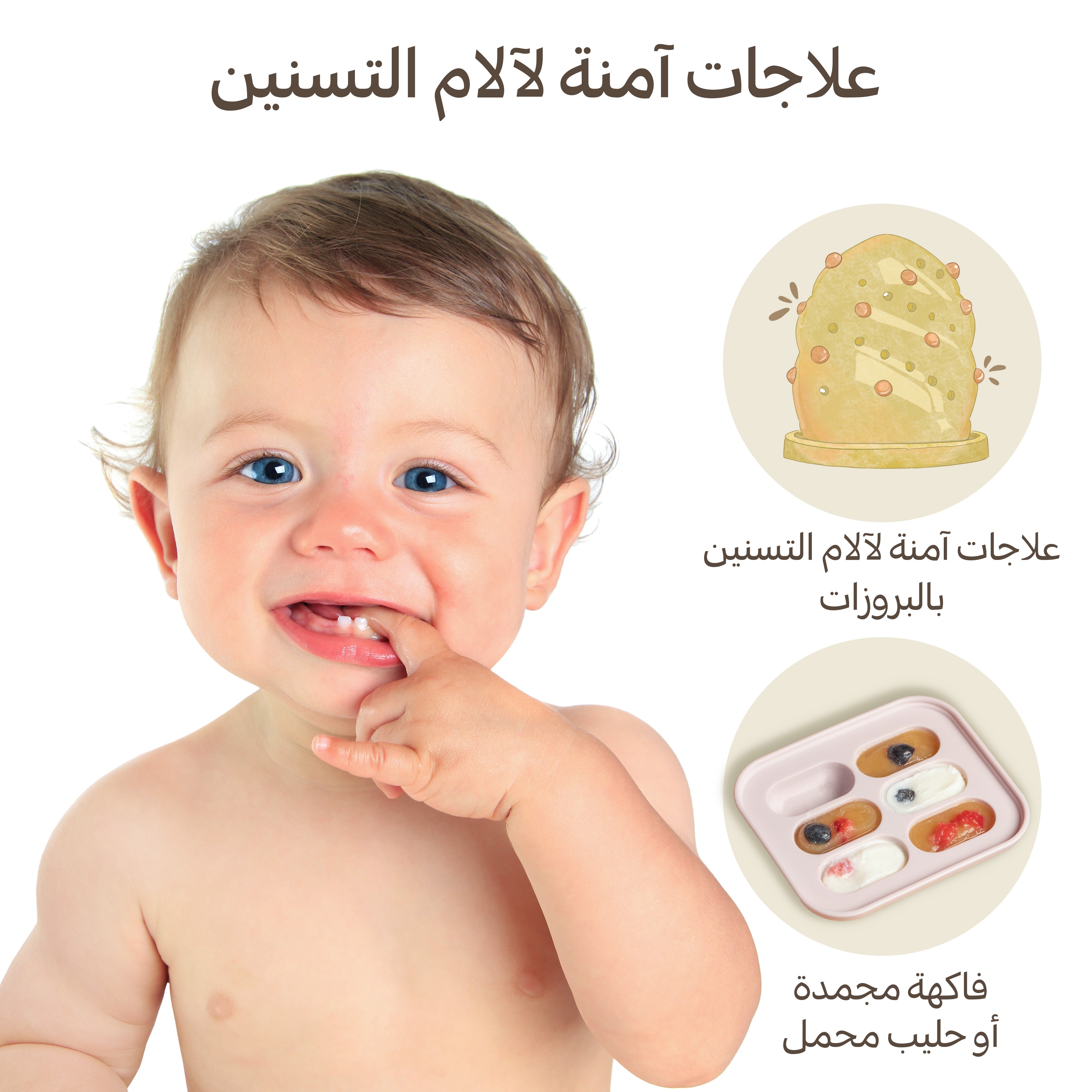 Moonkie-ar-لهاية تغذية طعام للأطفال - عبوة من 2-5